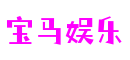 广东省广州市宝马娱乐电脑科技有限公司